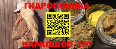 молекула духа Кулебаки